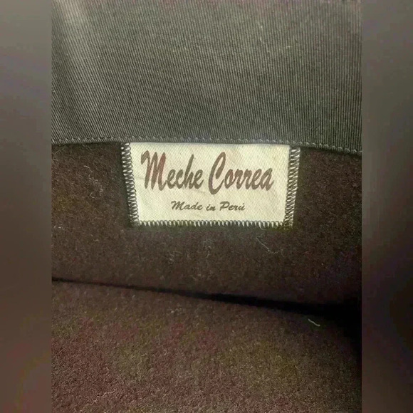 Meche Correa bag - Picture 5 of 6